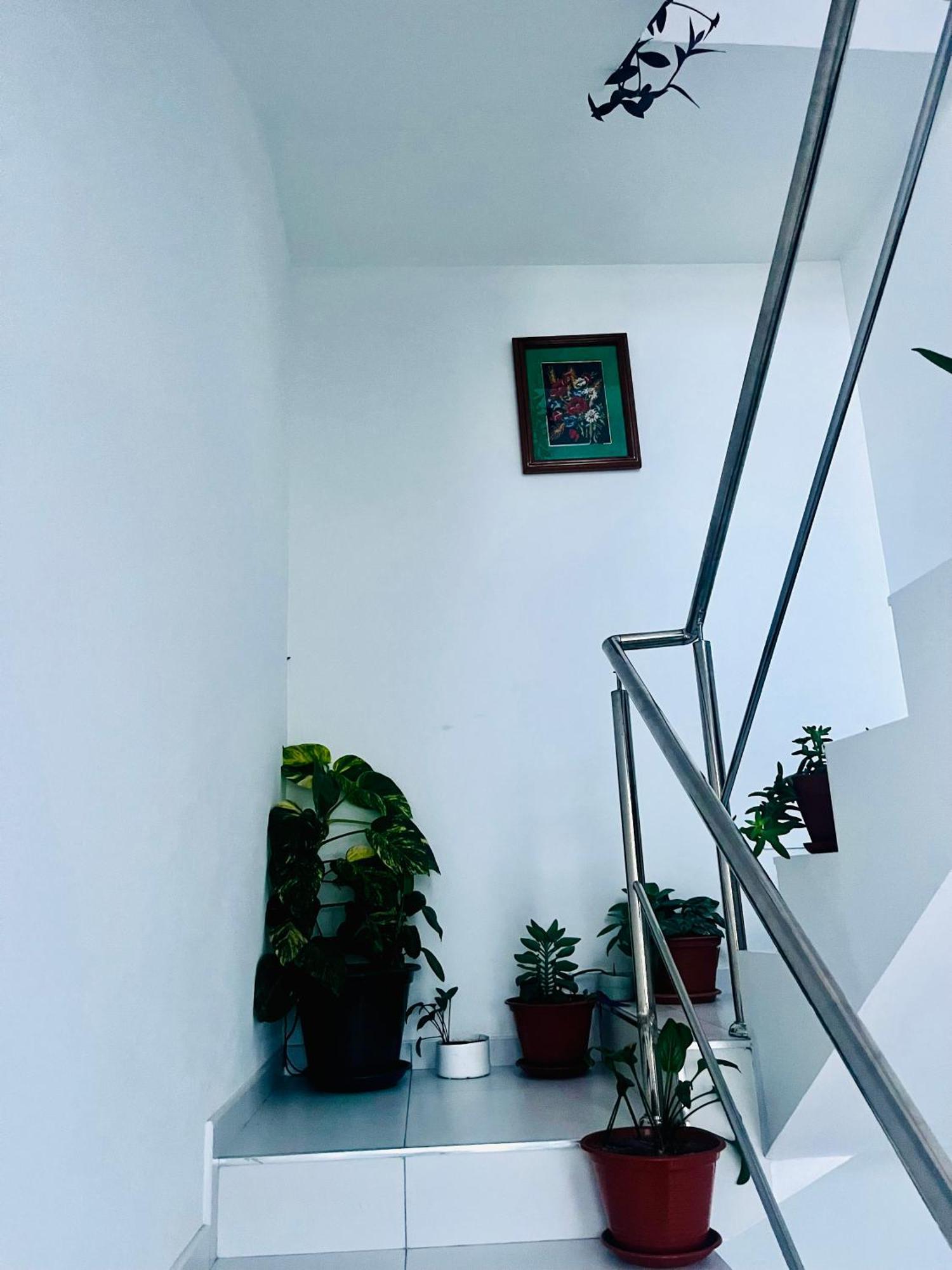 Oasis De Retour Apartment Понта до Сол Екстериор снимка
